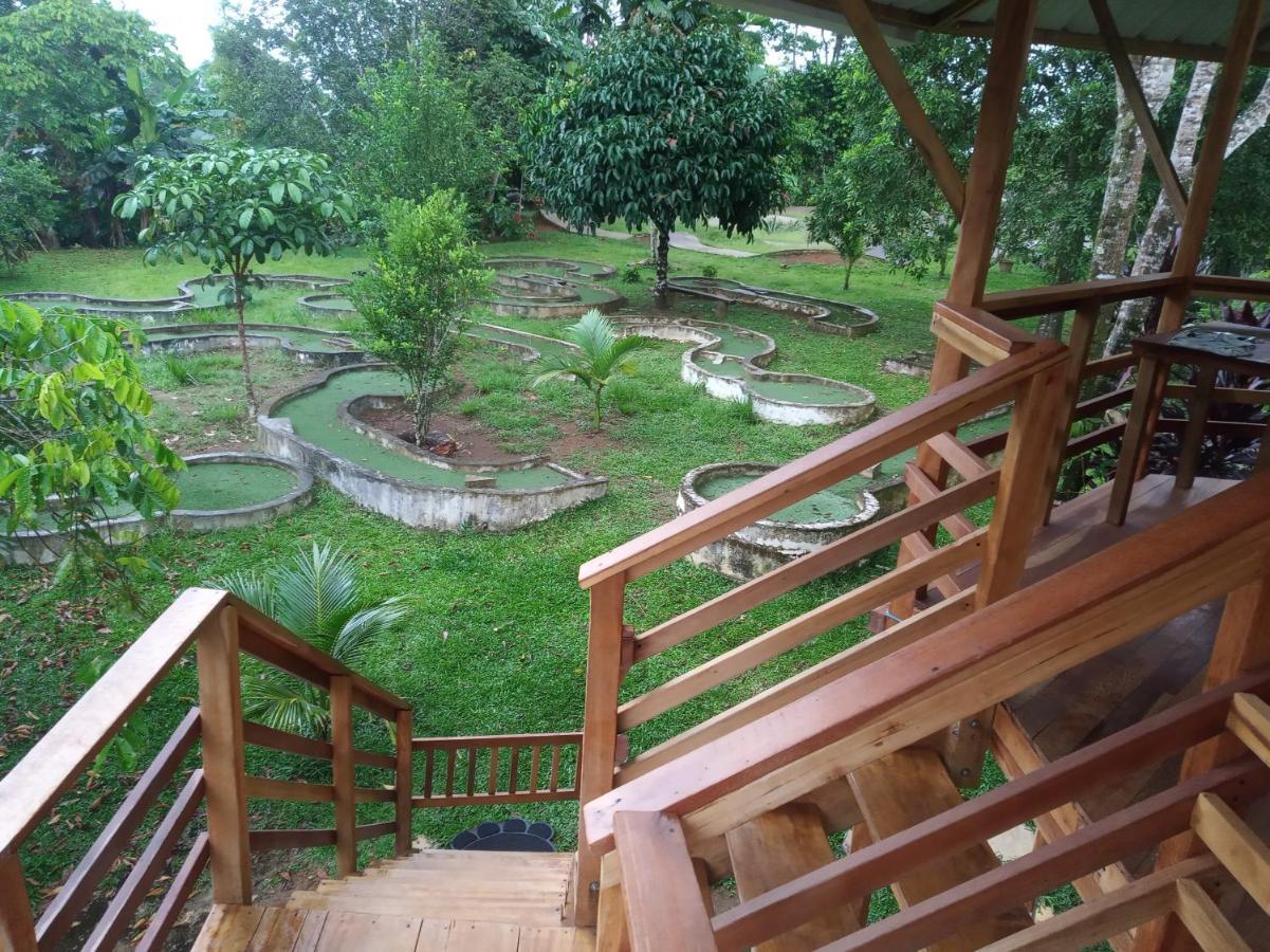 Hostal Suna Vito Puerto Asís Extérieur photo