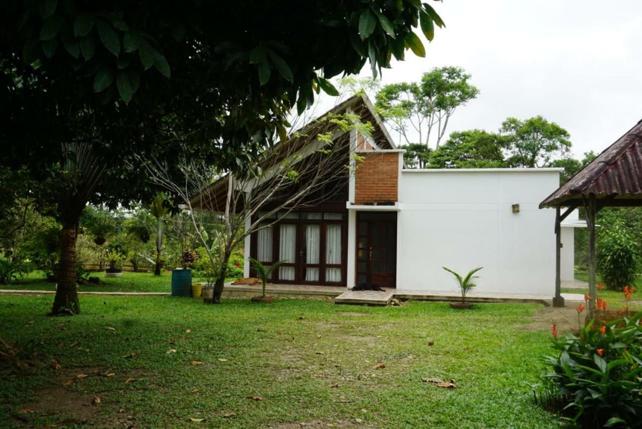 Hostal Suna Vito Puerto Asís Extérieur photo